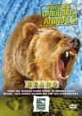 Worlds Most Dangerous Animals - Bears