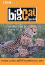 Big Cat Diary - The Special