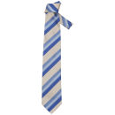 Gianfranco Ferre Men's Designer Silk Tie - Blue
