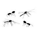 Insect Push Pins