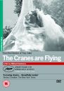 The Cranes are Flying
