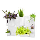 Urbio Big Happy Family Planter