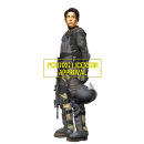 Gentle Giant The Walking Dead Glenn In Riot Gear Limited Edition Statue