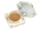 Chantecaille Total Concealer