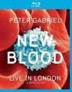 Peter Gabriel: New Blood – Live In London 3D