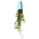 Sky Planter Upside Down Indoor Plant Pot - Pastel Blue