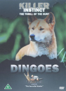 Killer Instinct - Dingoes