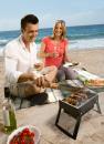 Wagga Wagga BBQ Mini