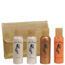 Fake Bake Travel Tanning Kit