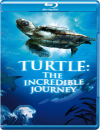 Turtle: The Incredible Journey 3D