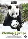 Pandamonium