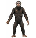 Dawn of the Planet of the Apes 7 Inch Scale Action Figures Series 1 - Assortment