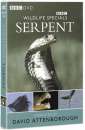 Wildlife Special - Serpent