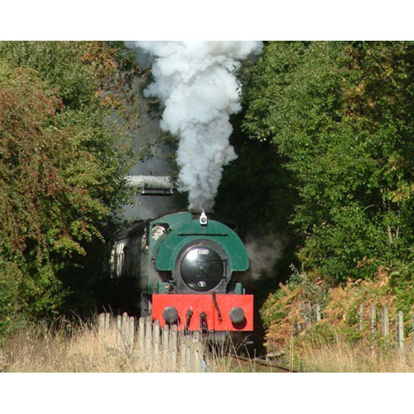 Introductory Steam Train Driving Experience in Yorkshire One Hour