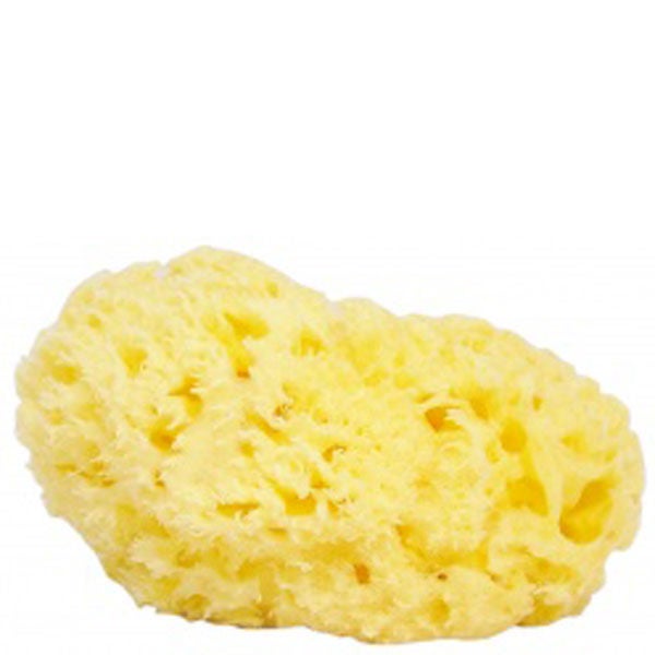 The Natural Sea Sponge Company Sea Sponge (Approx 5 Inches) lookfantastic Singapore