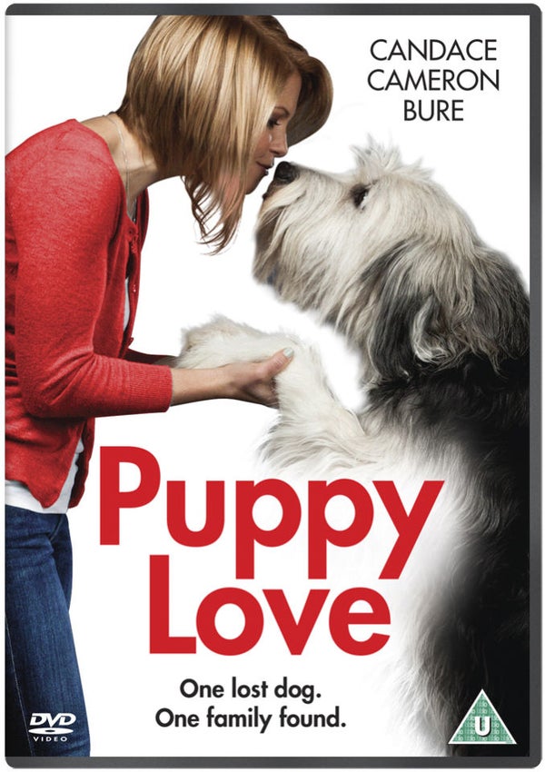 Puppy love 2013. Puppy Love. Puppy Love 1976. Puppy Love 2012.