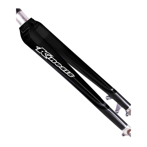 Kinesis online carbon fork