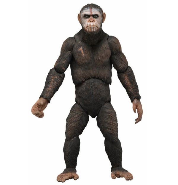 Dawn of the Planet of the Apes Inch Scale Action Figures Series