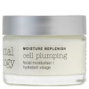 Hydratant visage Elemental Herbology Cell Plumping SPF8 50ml
