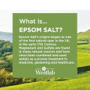 Westlab Epsom Salt 5 kg
