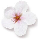 Rituals The Ritual of Sakura Mini Fragrance Sticks 50ml