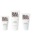Bulldog Skincare Kit for Men National