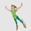 T-Shirt Femme Peter Pan Dans les Airs Disney - Gris