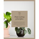 Thames and Hudson Ltd Australia: Plant Style - How to Greenify Your Space