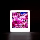 Magnetic Rose Gold Mini Photo Light Box