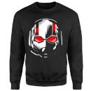 Ant-Man And The Wasp Scott Mask Sweatshirt - Black