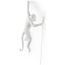 Seletti Indoor/Outdoor Hanging Monkey Lamp - White