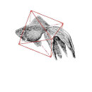 Florent Bodart Fish In Geometry Men's T-Shirt - White