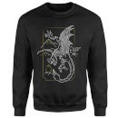 Harry Potter Hungarian Horntail Dragon Sweatshirt - Black