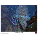 Jurassic Park Lithograph - Set of 5 Prints