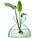 LSA Canopy Clear Vase - 18cm