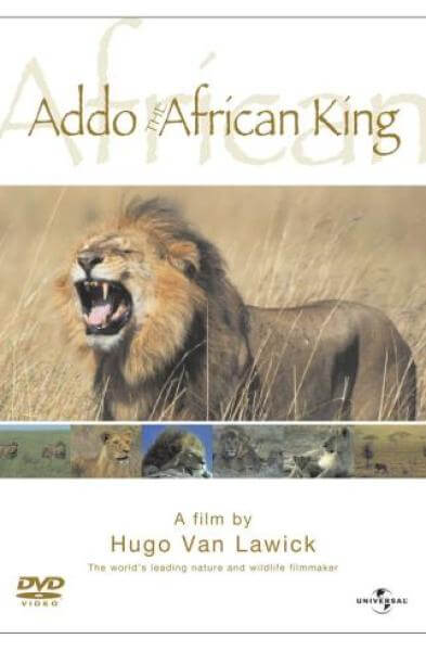 Addo: African King