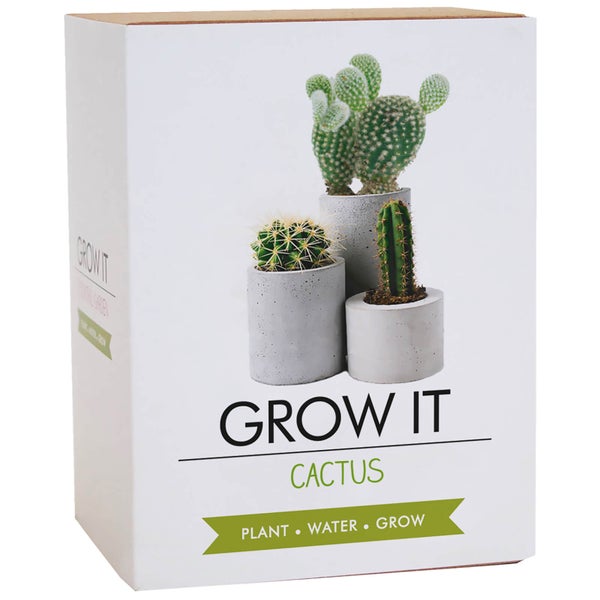 DIY : Plantez-Moi ! Cactus