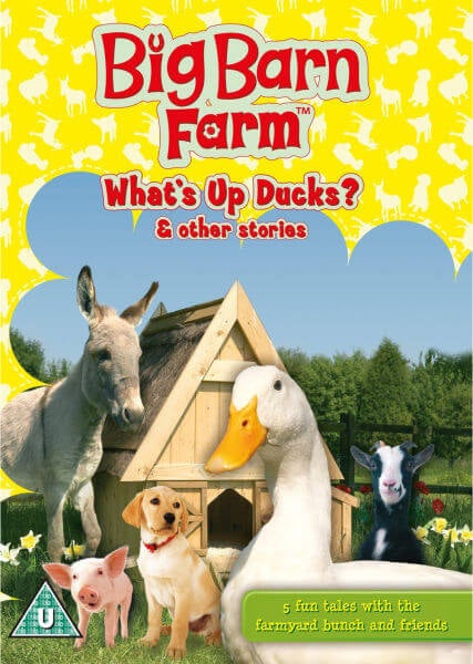 Big Barn Farm: What's Up Ducks?