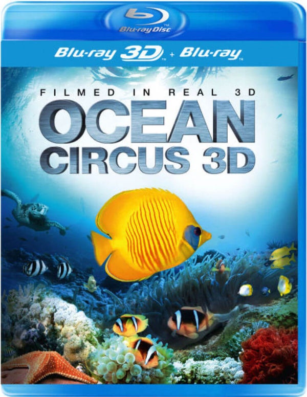 Ocean Circus 3D
