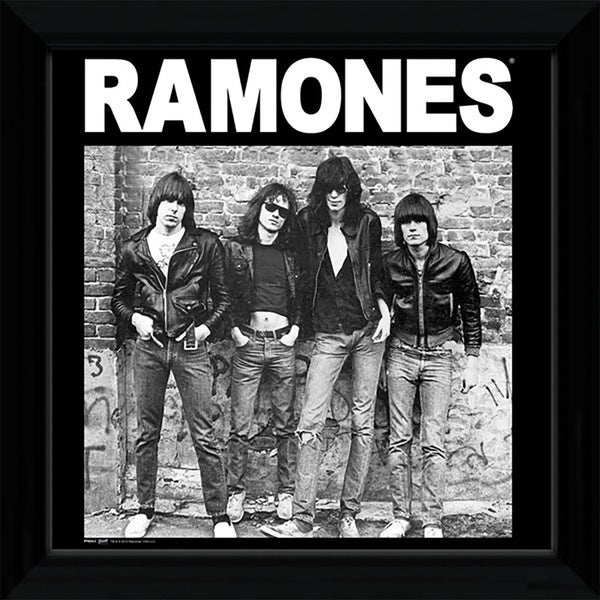 The Ramones Album - 12"" x 12"" Framed Album Prints