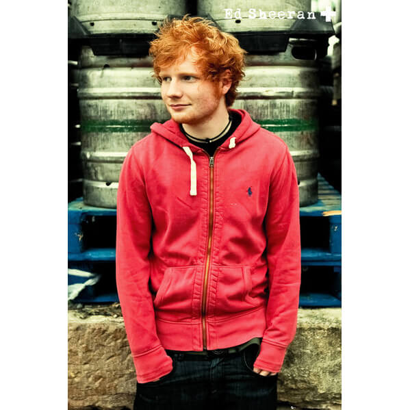 Ed Sheeran Pin Up - Maxi Poster - 61 x 91.5cm