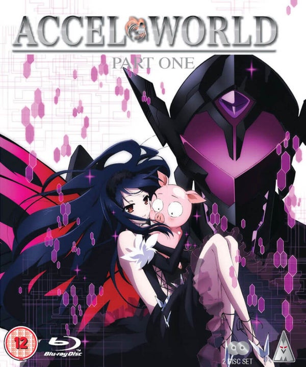Accel World - Part 1
