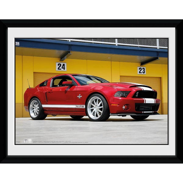 Ford Shelby GT500 - 8x6 Framed Photographic