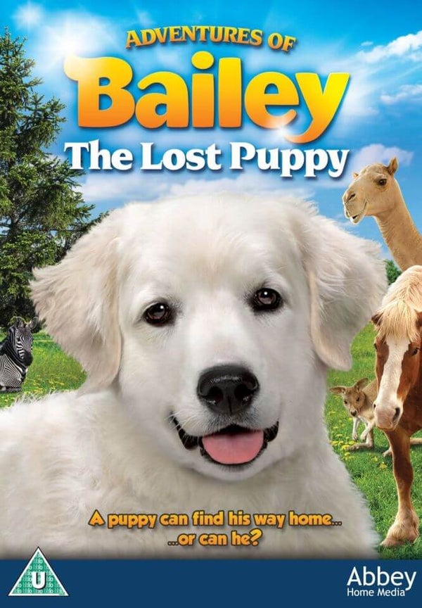 Adventures of Bailey: The Losy Puppy