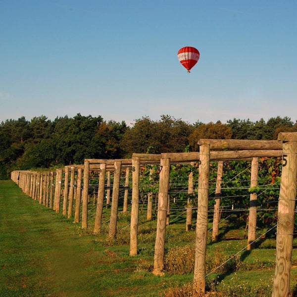 English Vineyard Tour, Wine Tasting and Lunch for Two