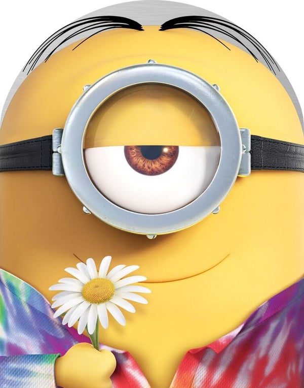 Minions Limited Edition: Collectors Case