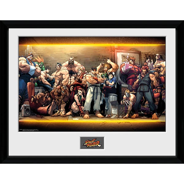 Street Fighter Characters - 16 x 12 Inches Framed Photographic