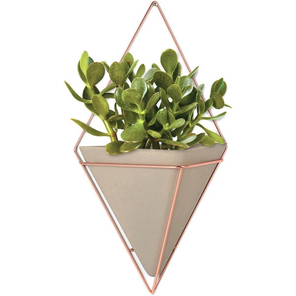 Umbra Trigg Wall Vessel - Large - Copper