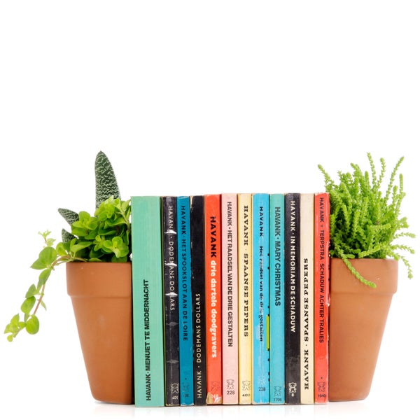 Planter Bookends - Brown