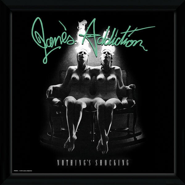 Janes Addiction Nothings Shocking Framed Album Cover - 12"" x 12"